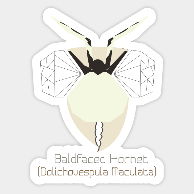 "Bug Eyes" - Baldfaced Hornet Sticker by LEclectiqueNoir